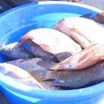 img 20250821 wa0064.jpg