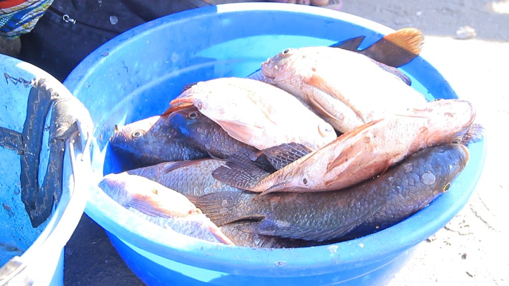 img 20250821 wa0064.jpg
