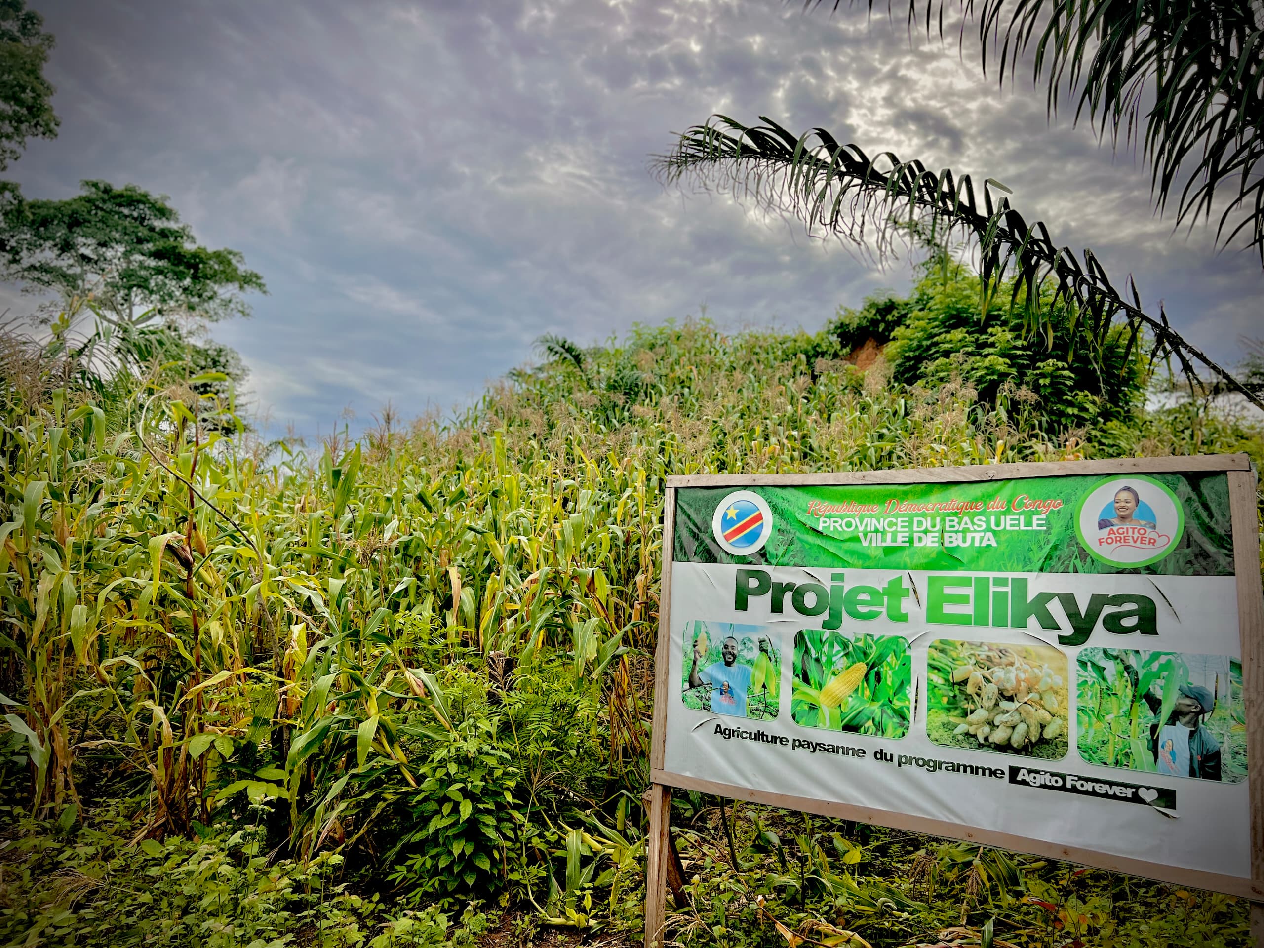 img 20251013 wa0175.jpg