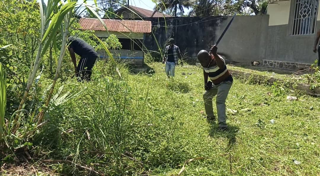 screenshot 20251018 151645.jpg