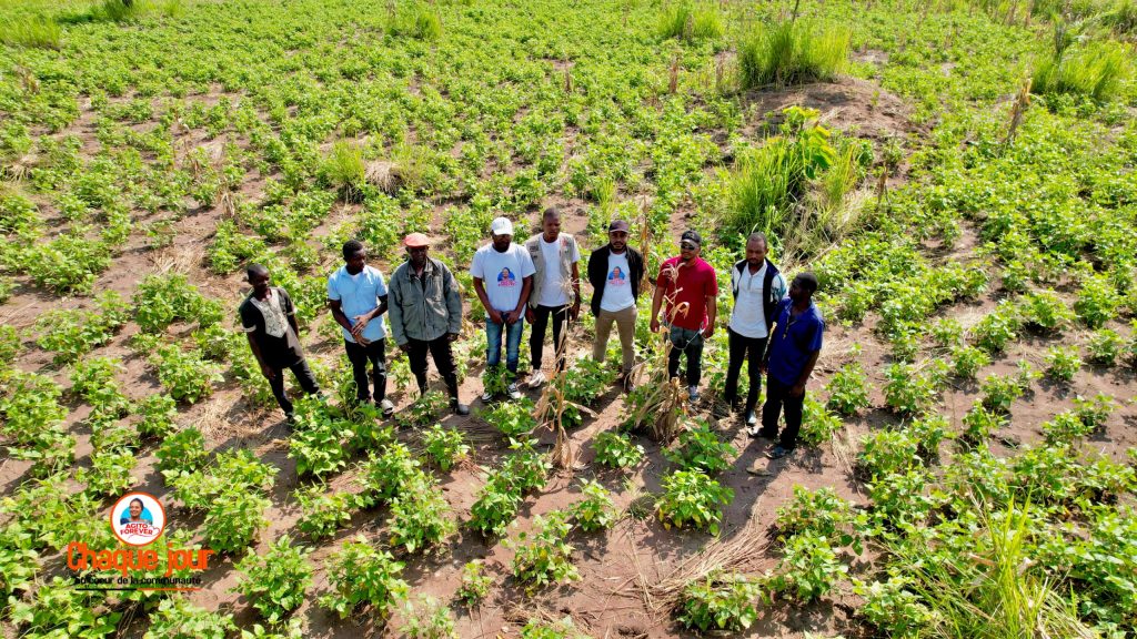 img 20251120 wa0312.jpg