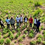 img 20251120 wa0312.jpg