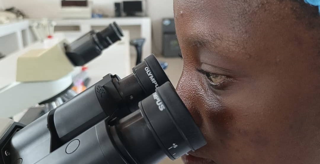 screenshot 20251111 141752.jpg