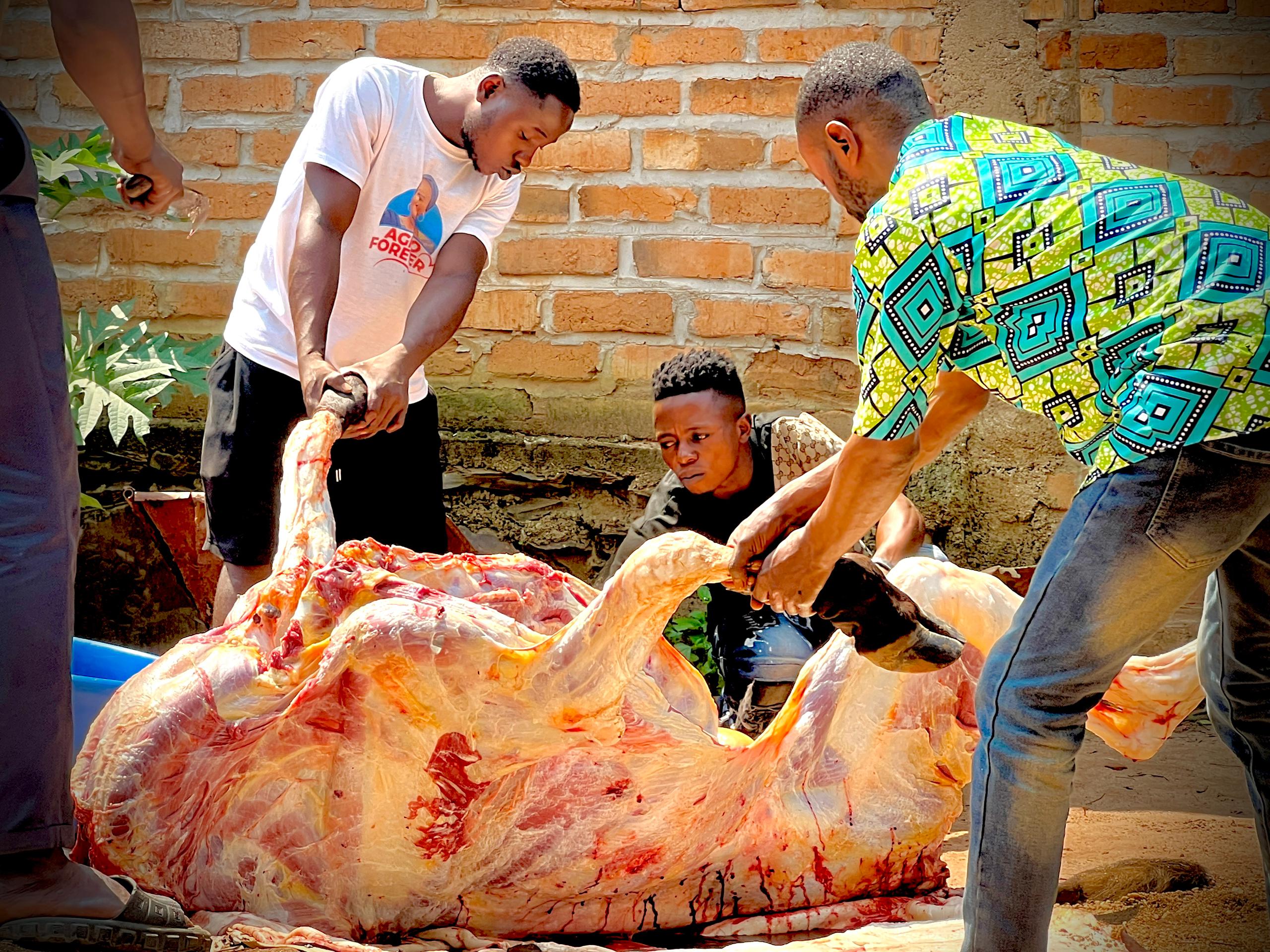 img 20251231 wa0346.jpg