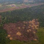 img 20260216 wa0494.jpg