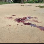 screenshot 20260417 174801.jpg