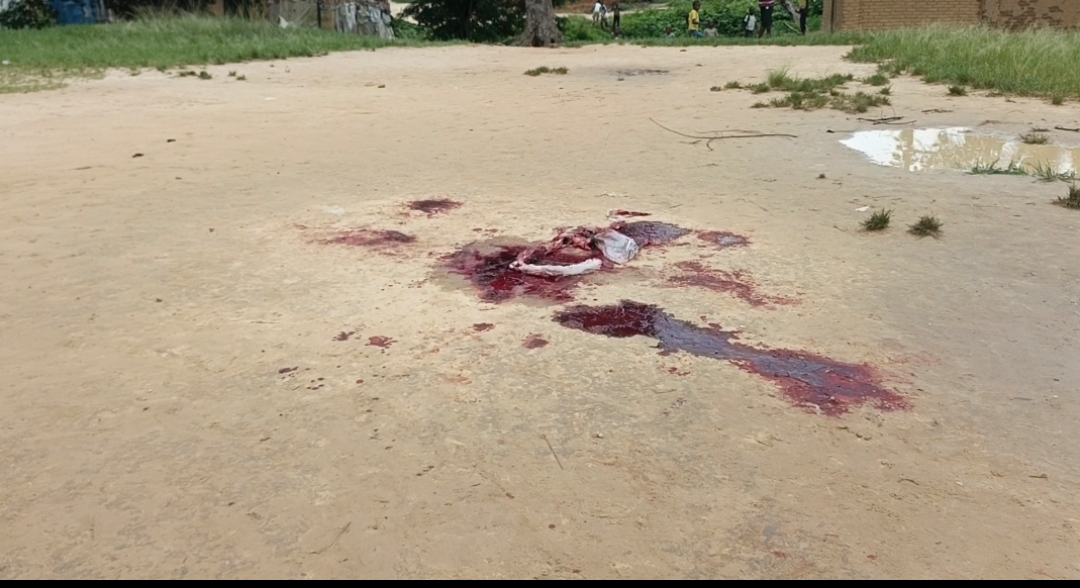 screenshot 20260417 174801.jpg